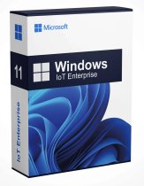 Microsoft Windows 11 Enterprise LTSC (IOT) (64Bit) English