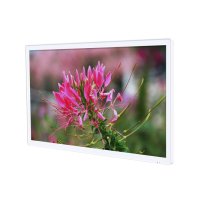 Iwill 42″ Infoskjerm m/RK3588 Ubuntu / Android